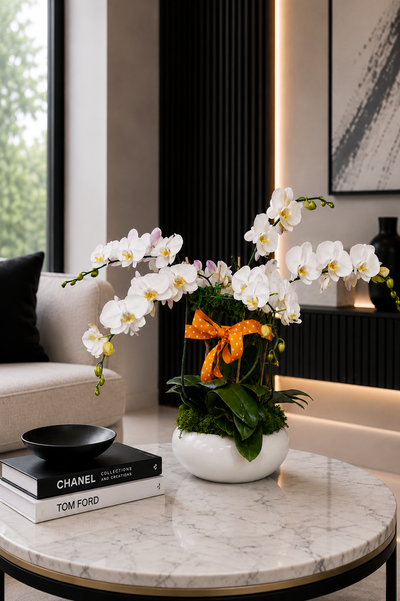 Chelsea Orchid Garden