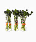 Floating Garden – Premium Deluxe Arrangement