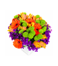 Hamptons Summer Garden – Deluxe Arrangement