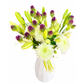 Palm Springs Garden – Deluxe Arrangement