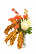 Palm Springs Garden – Desert Majesty Arrangement