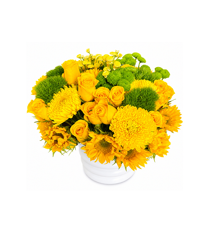 Shades of Yellow Garden – Arrangement 2
