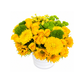 Shades of Yellow Garden – Deluxe Arrangement