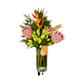 South African Garden – Premium Deluxe Arrangement