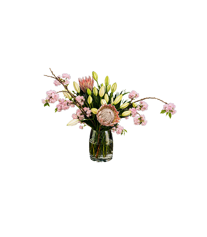 South African Garden – Arrangement 3