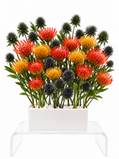 South African Garden – Premium Deluxe Arrangement