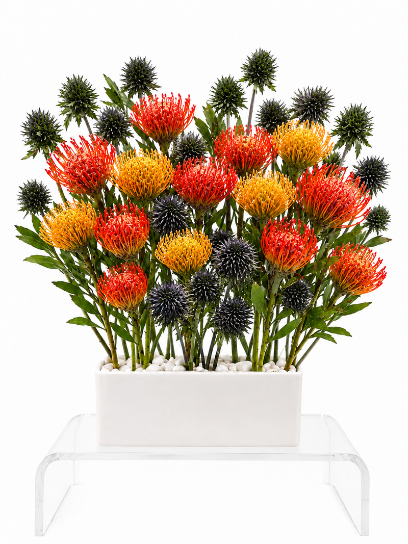 South African Garden – Premium Deluxe Arrangement