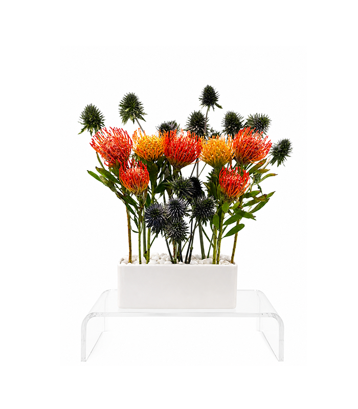 South African Garden – Deluxe Arrangement