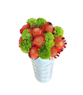 South African Garden – Arrangement 5