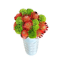 South African Garden – Deluxe Arrangement