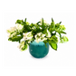Tribeca Blanc Garden – Deluxe Arrangement