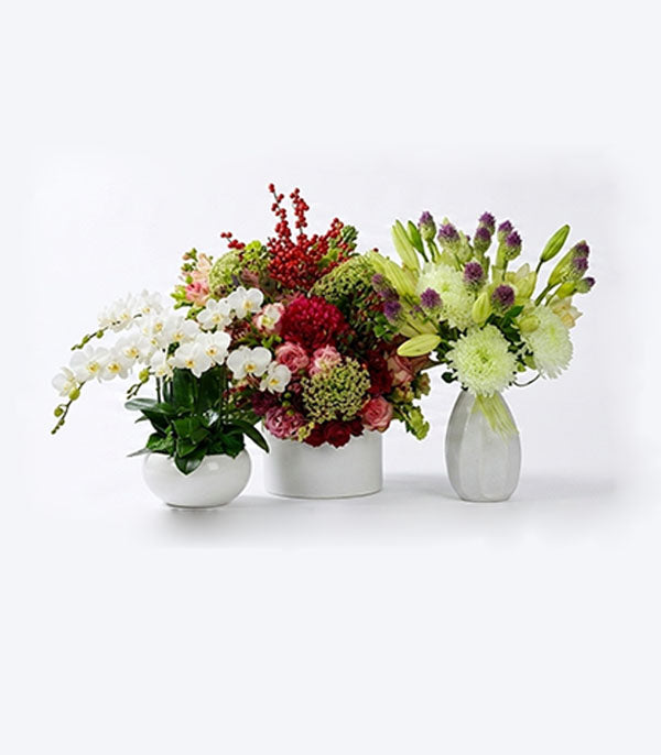 Surprise Garden – Deluxe Arrangement